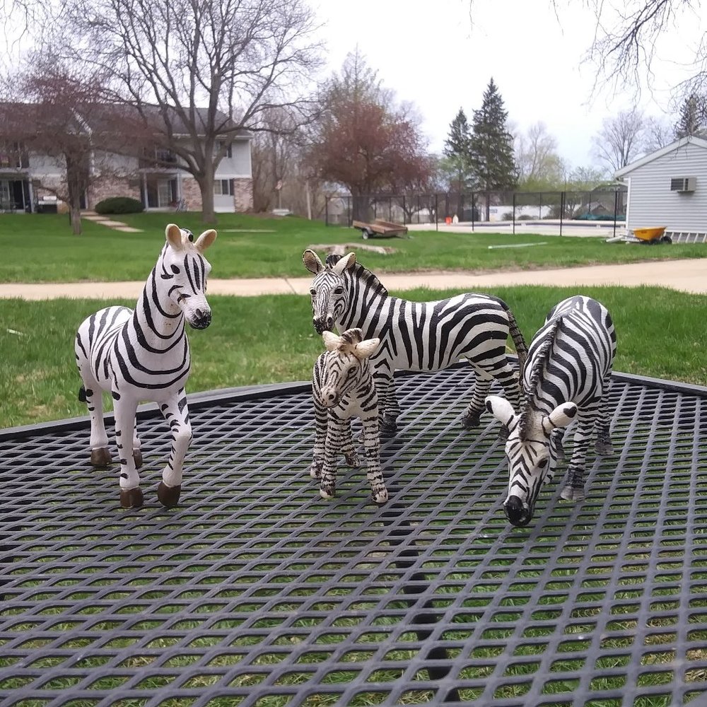 Lot of 4 zebras - 3 adults and one baby - 3 Schleich and 1 Terra by Battat